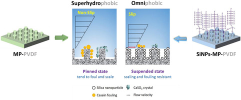 Journal of Membrane Science